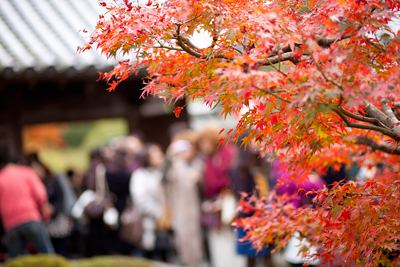 鈴虫寺