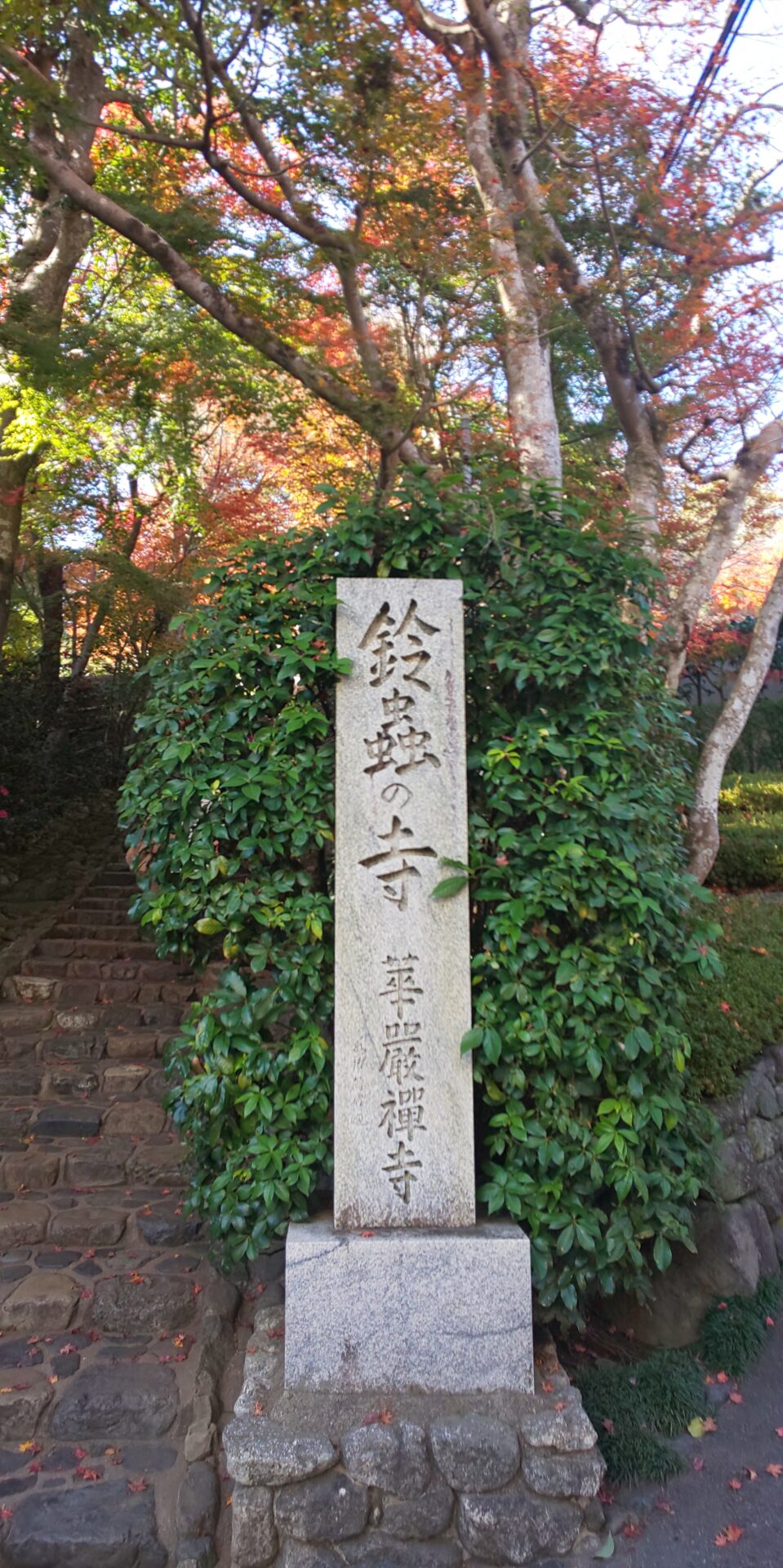 鈴虫寺